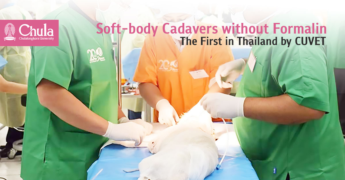 Chulalongkorn University develop an embalming fluid to preserve animal cadavers