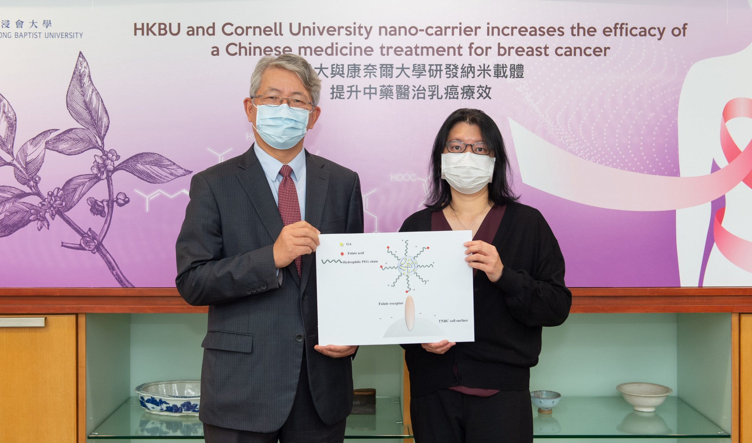 HKBU and Cornell University jointly develop a novel targeted therapy for breast cancer