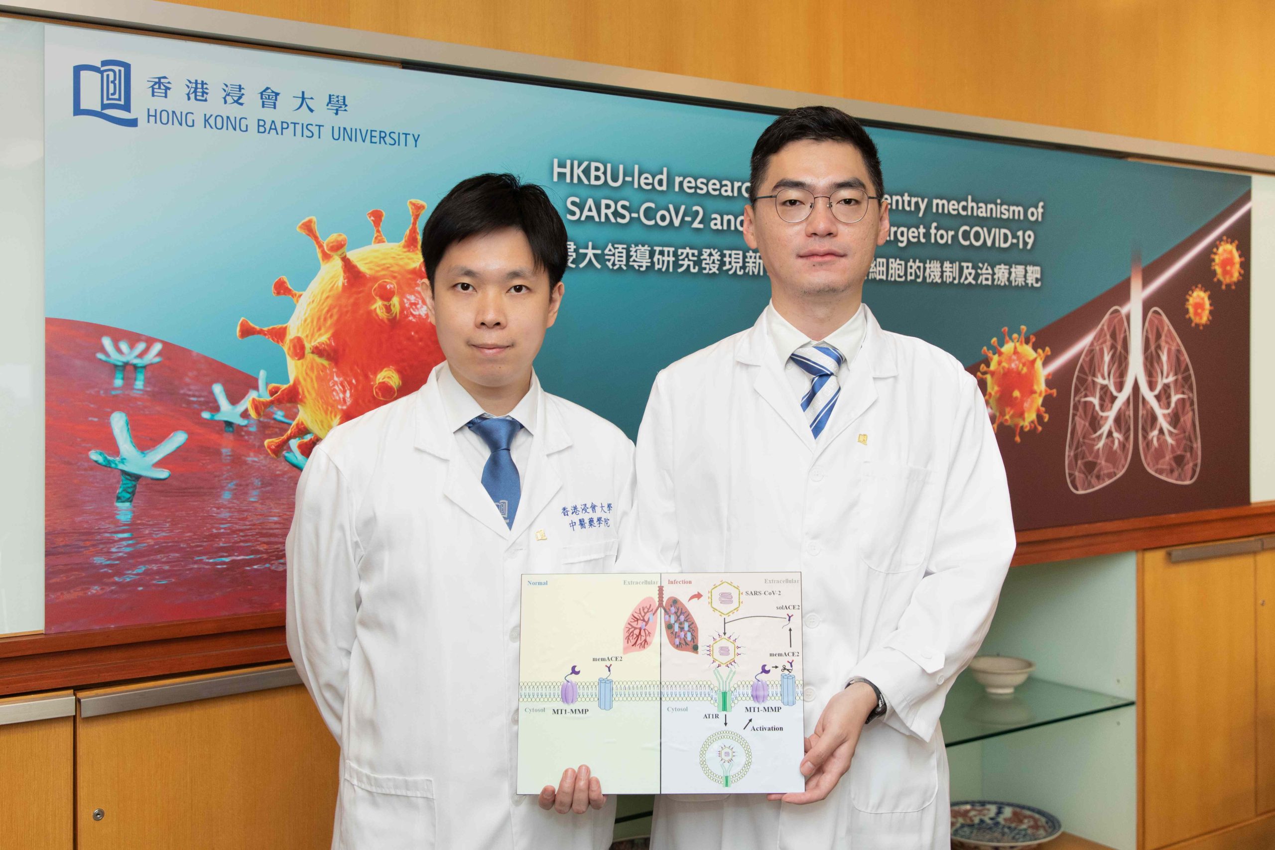 HKBU-led research unveils cell entry mechanism of SARS-CoV-2