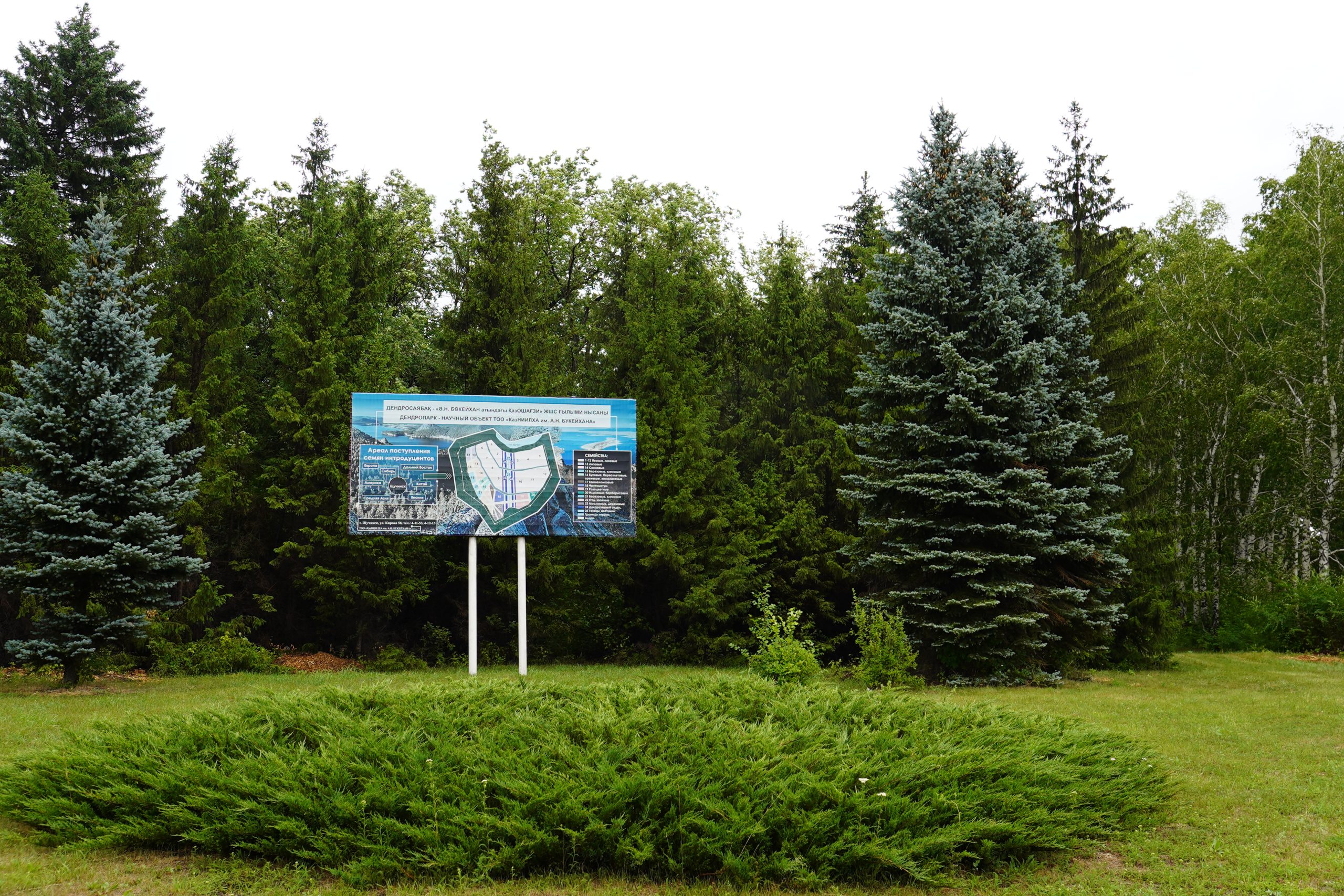 KATRU will create model ‘research cluster’ using forest resources, research facilities in Shchuchinsk