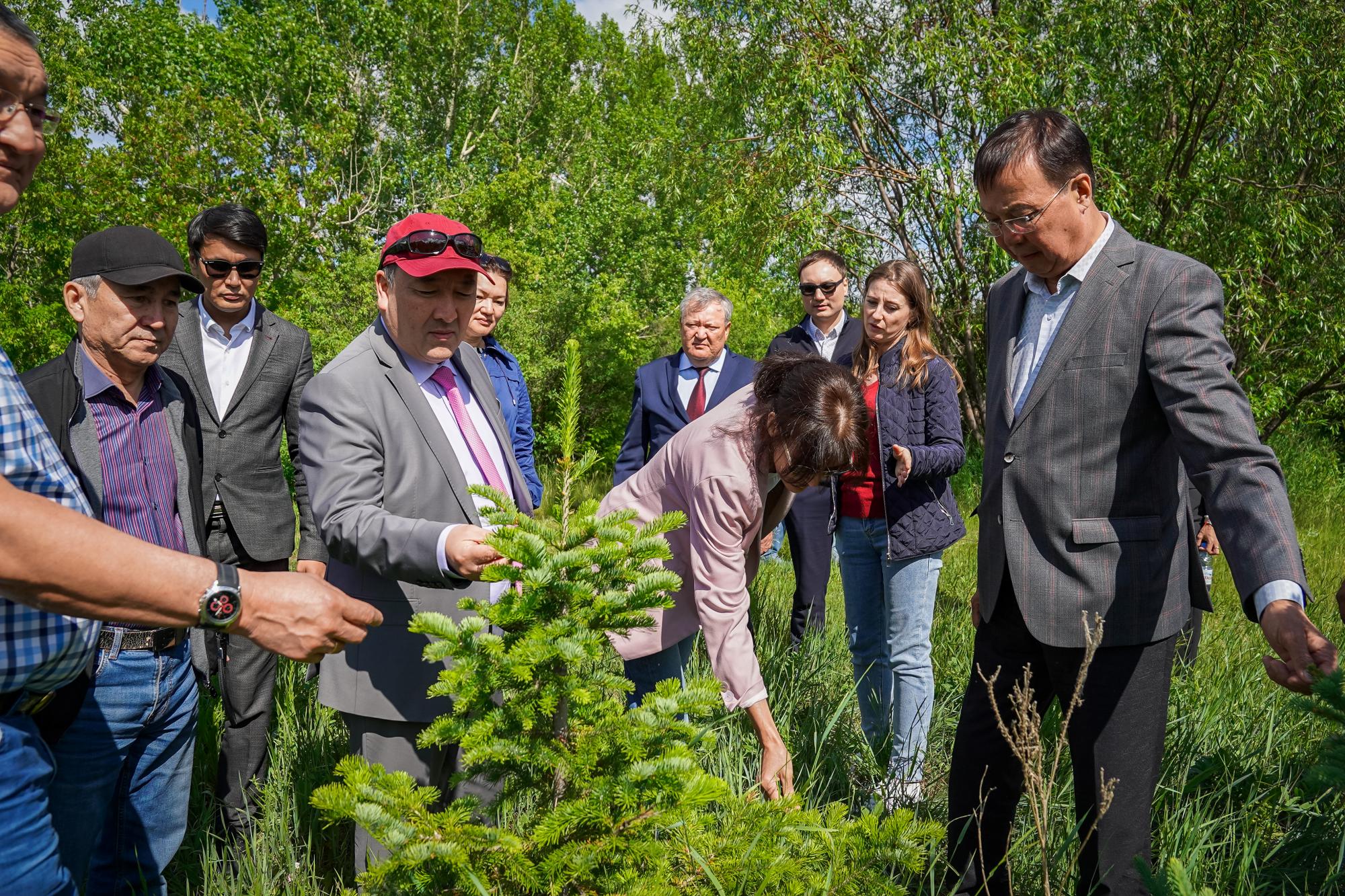 Kazakh government transfers 13 research institutes to KATRU