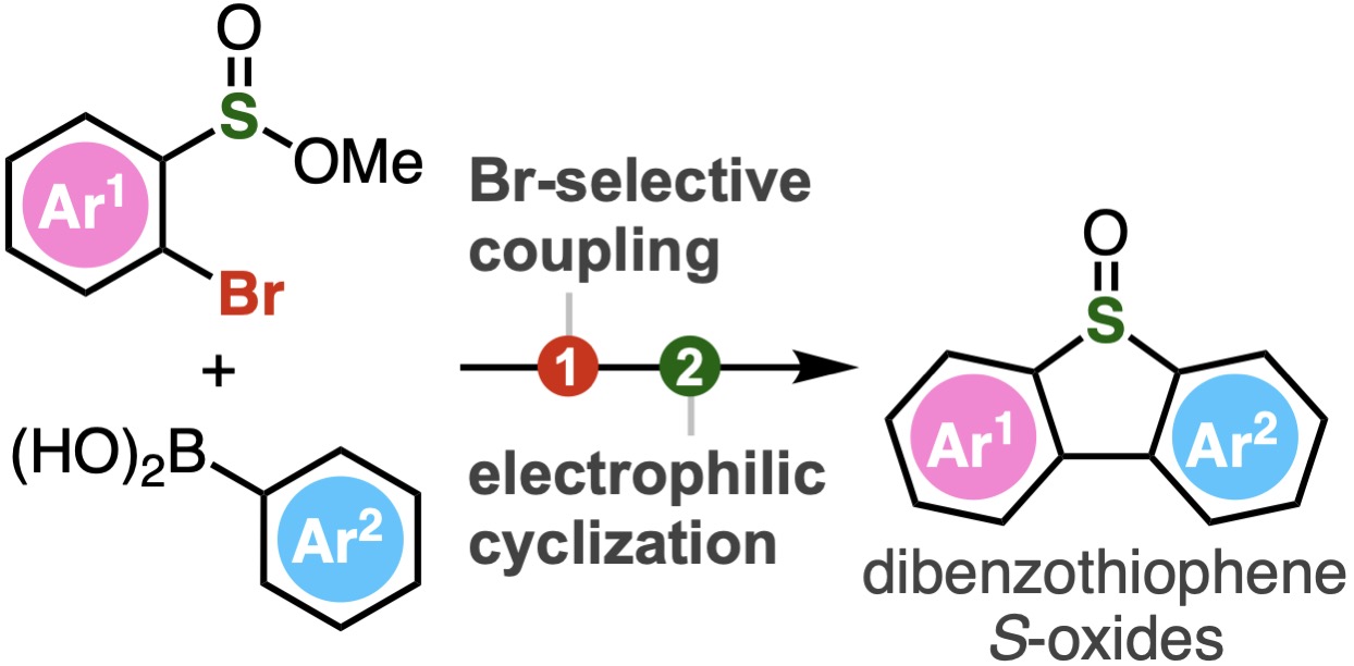 New Horizons in Chemical Biology: A Novel Approach to Synthesize Dibenzothiophene S-Oxides