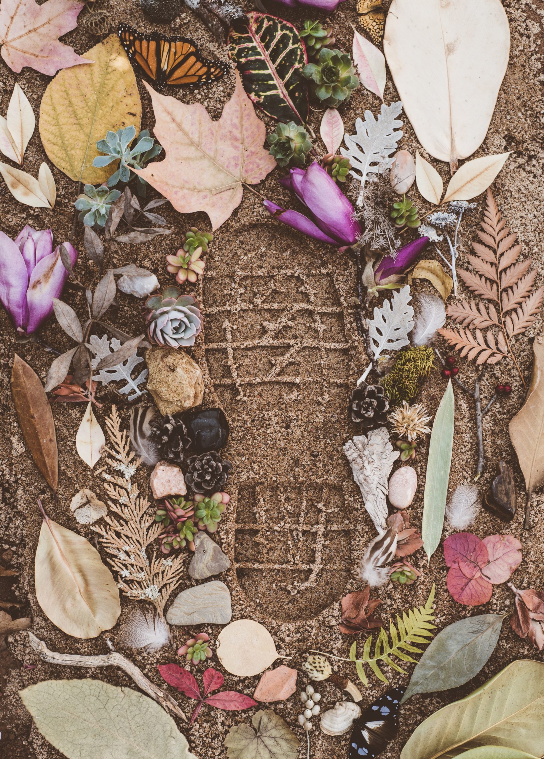 Making sustainability a part of university ethos
