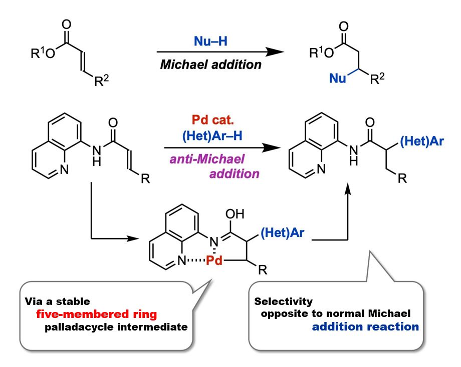 One-step synthesis of pharmaceutical building blocks: New method for anti-Michael reaction