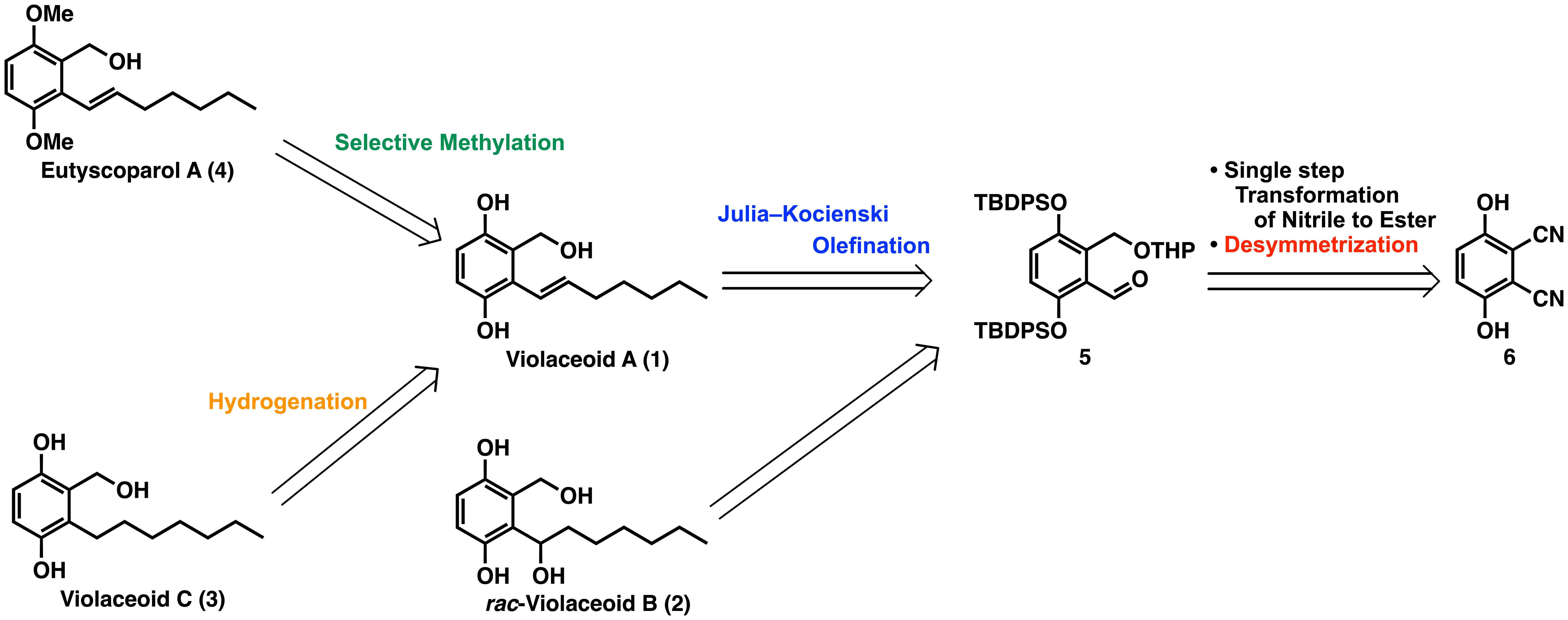 From fungi to pharmaceuticals: A milestone for production of Eutyscoparol A, Violaceoid C